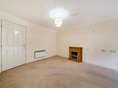 Picture 15